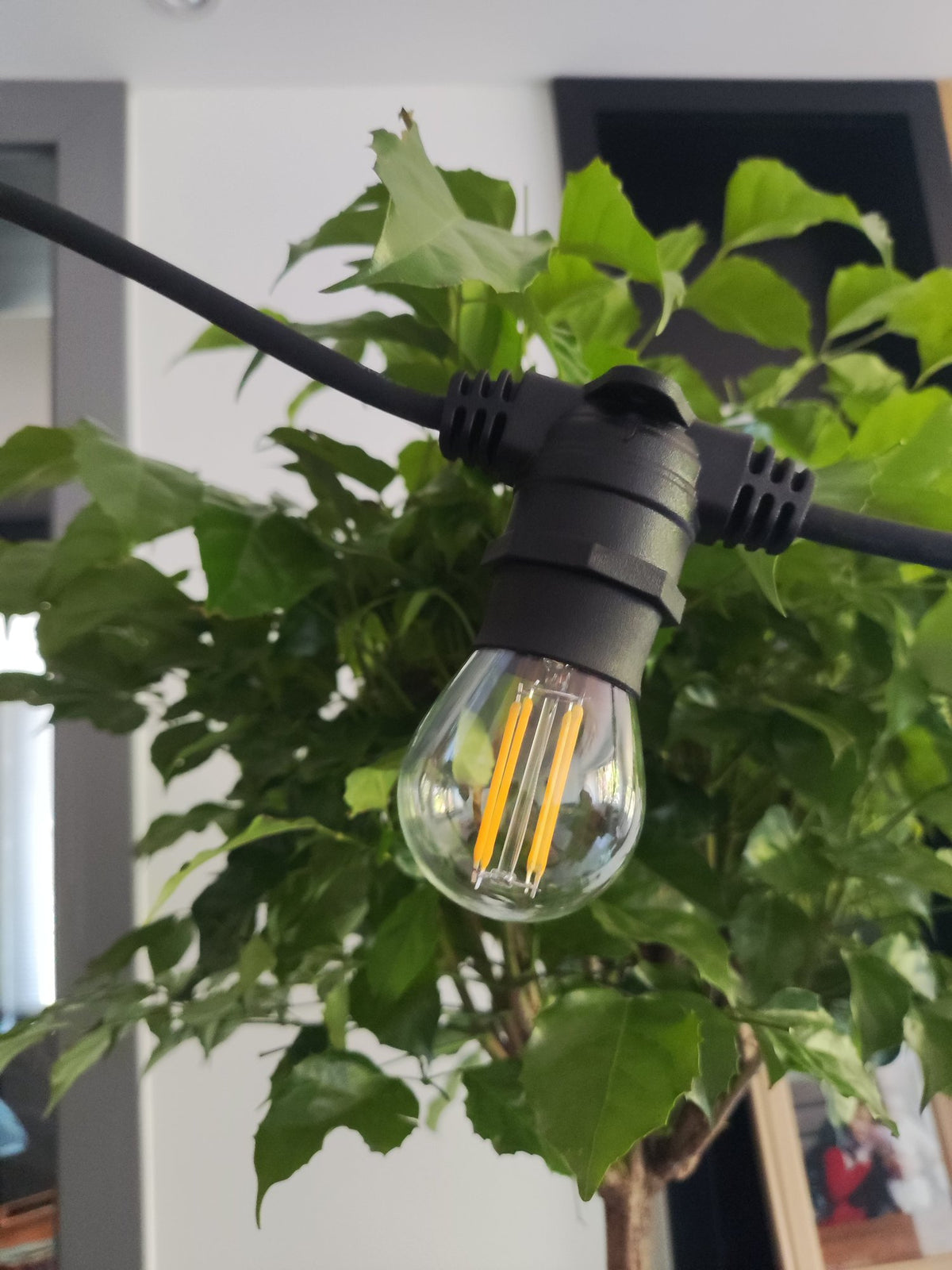 Hardy 20 Light Outdoor Festoon String Lights - Black
