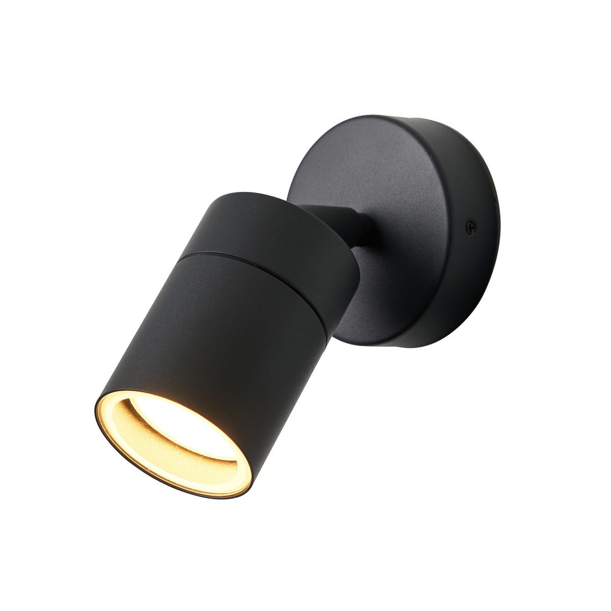 Leto 1 Light Adjustable IP65 Outdoor Wall Light - Anthracite