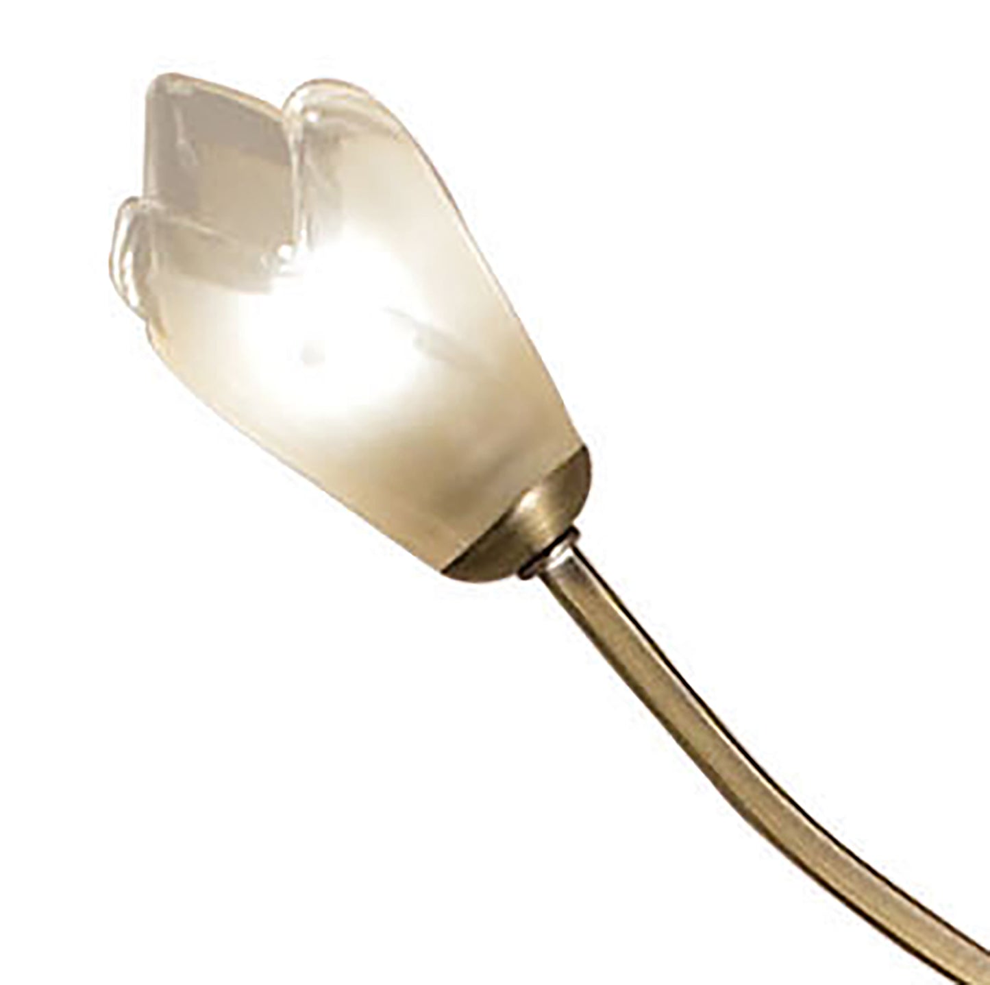 Pietra Floor Lamp 4 Light G9, Antique Brass, NOT LED/CFL Compatible by Mantra