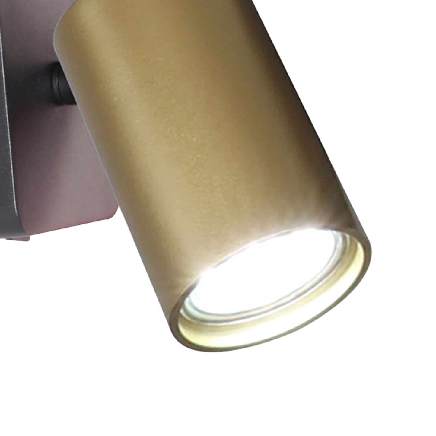 Sal 1 Light Wall Light GU10, Satin Gold/Matt Black by Mantra