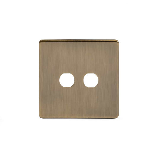 The Charterhouse Collection 2 Gang LT3 Toggle Plate ONLY Antique Brass