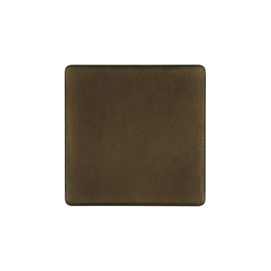 The Westminster Collection Vintage Brass metal Single Blanking Plate