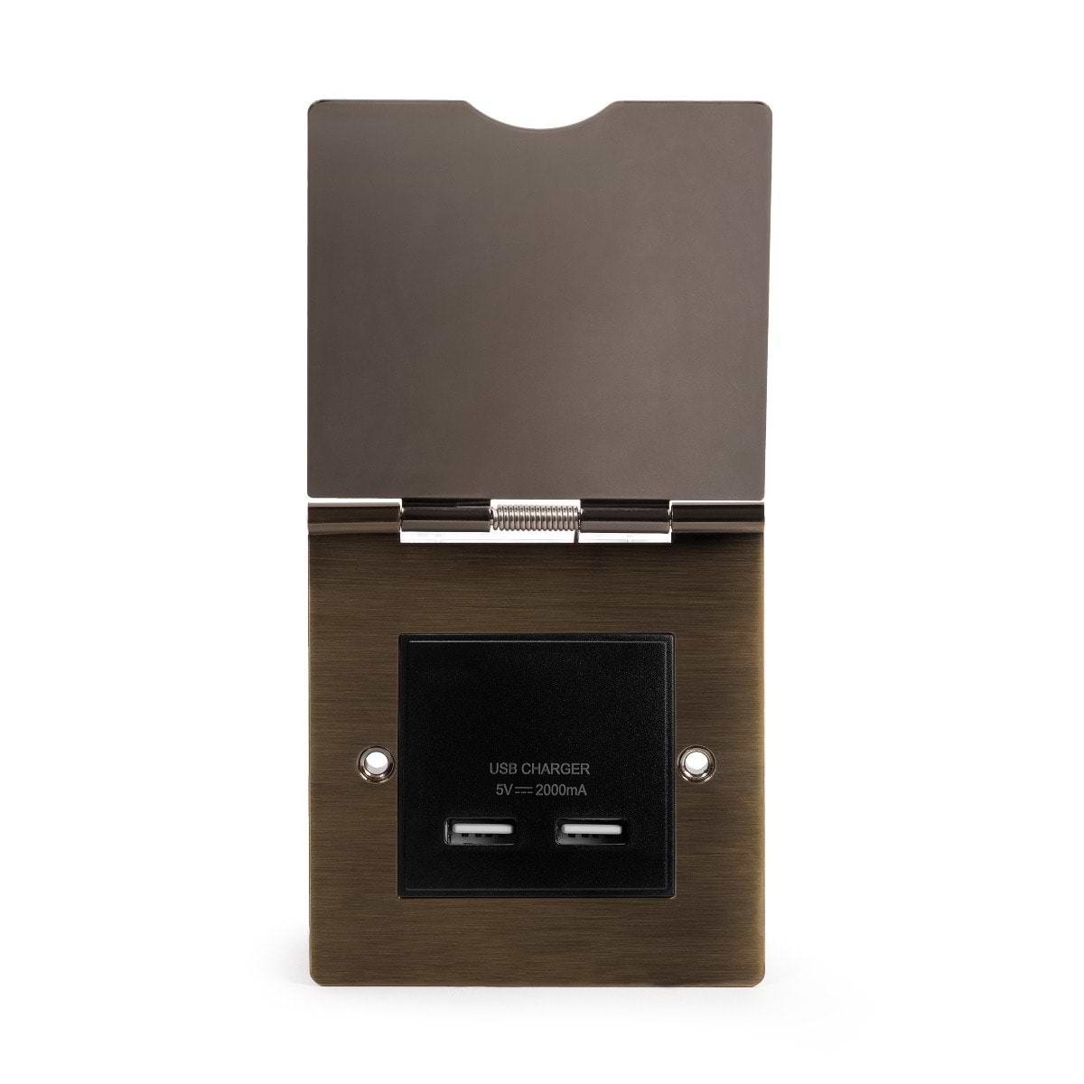The Charterhouse Collection USB Charger Floor Socket 1 Gang Blk Ins Antique Brass