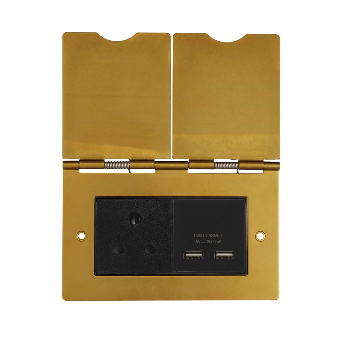 The Sloane Collection Antique Gold Double Floor Outlet 5Amp Socket & USB Charger