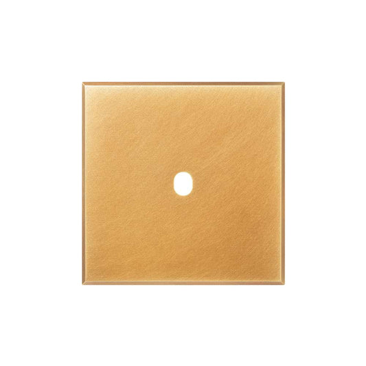Natural Brass 1 Gang TM Module Grid Switch Plate - The Palaces Collection