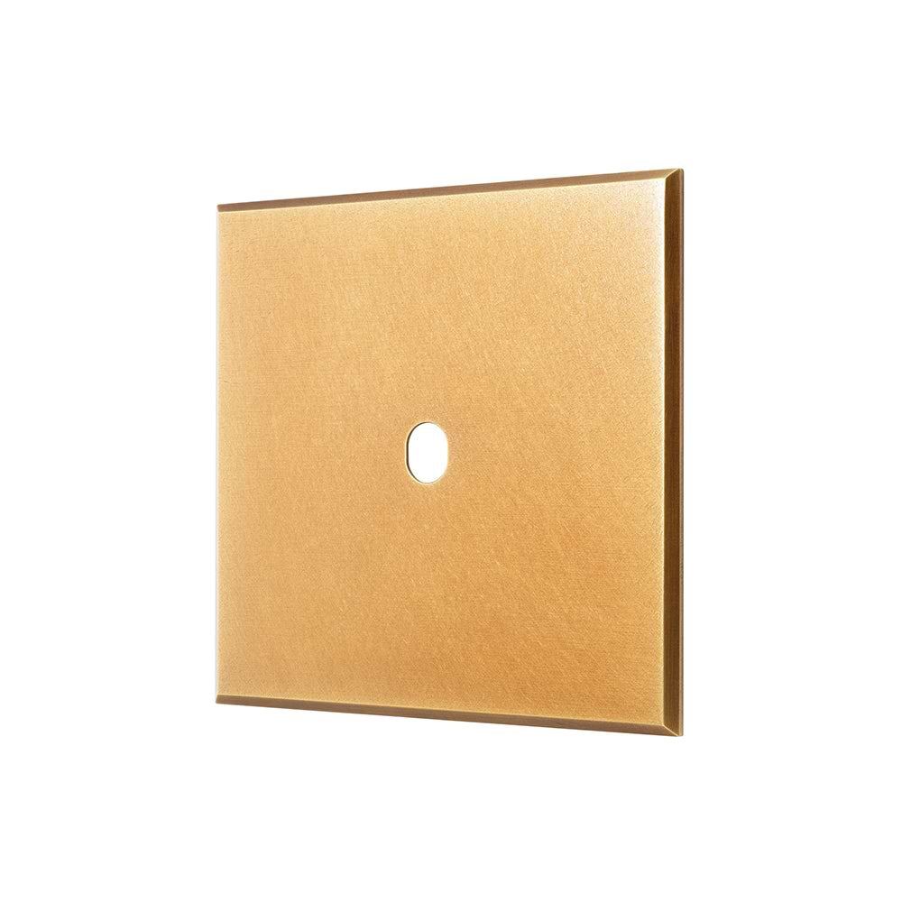 Natural Brass 1 Gang TM Module Grid Switch Plate - The Palaces Collection