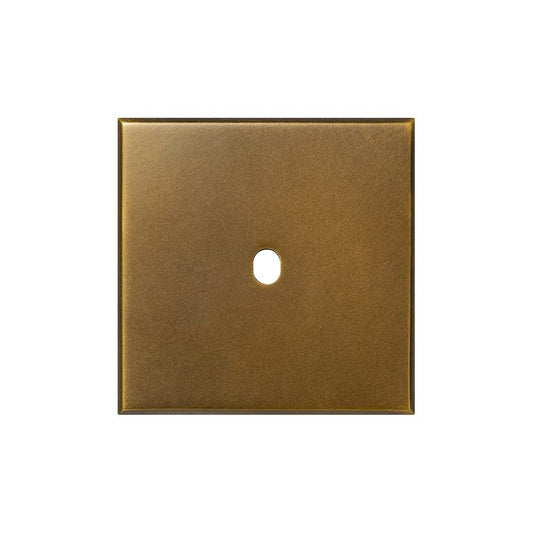 Aged Brass 1 Gang TM Module Grid Switch Plate - The Palaces Collection