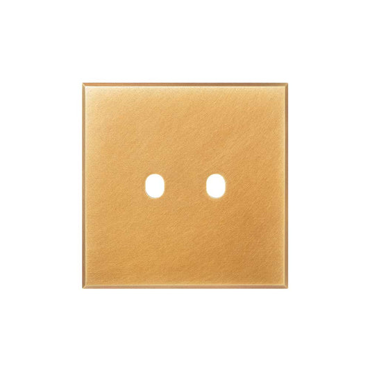 Natural Brass 2 Gang TM Module Grid Switch Plate - The Palaces Collection