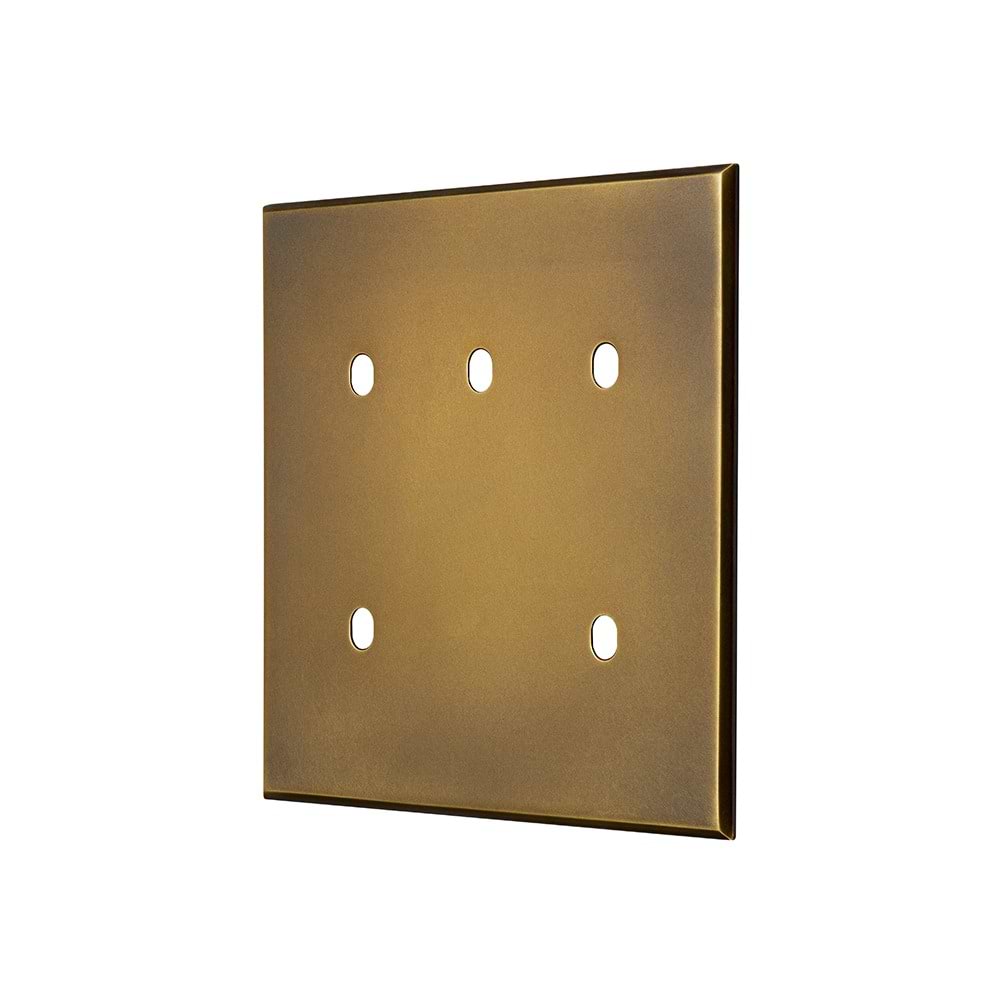 Aged Brass 5 Gang TM Module Grid Switch Plate - The Palaces Collection