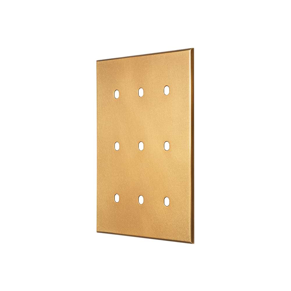 Natural Brass 9 Gang TM Module Grid Switch Plate - The Palaces Collection