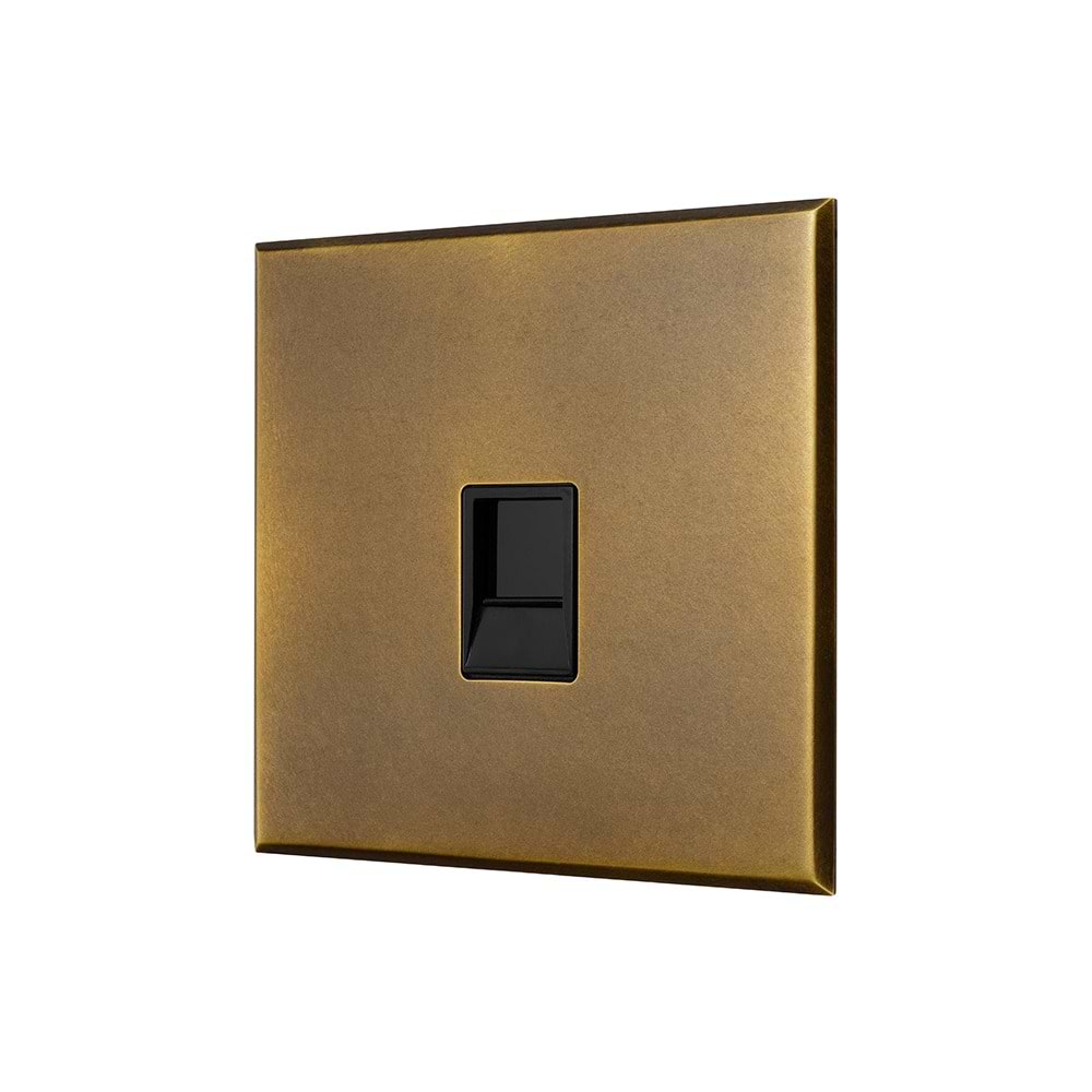 Aged Brass 1 Gang CAT5/CAT6 RJ45 Ethernet Data Socket with Black Insert  - The Palaces Collection