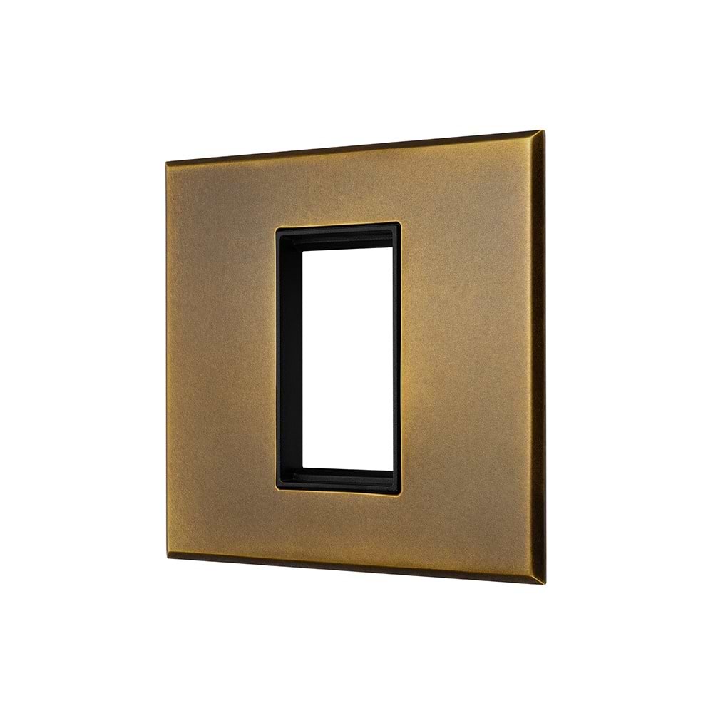 Aged Brass 1 x25mm EM Euro Module Wall Plate with Black Insert  - The Palaces Collection