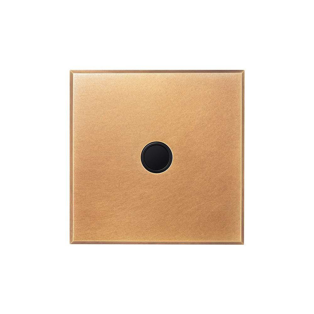 Natural Brass 20A Flex Outlet with Black Insert  - The Palaces Collection