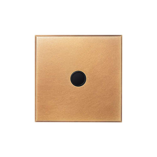 Natural Brass 20A Flex Outlet with Black Insert  - The Palaces Collection