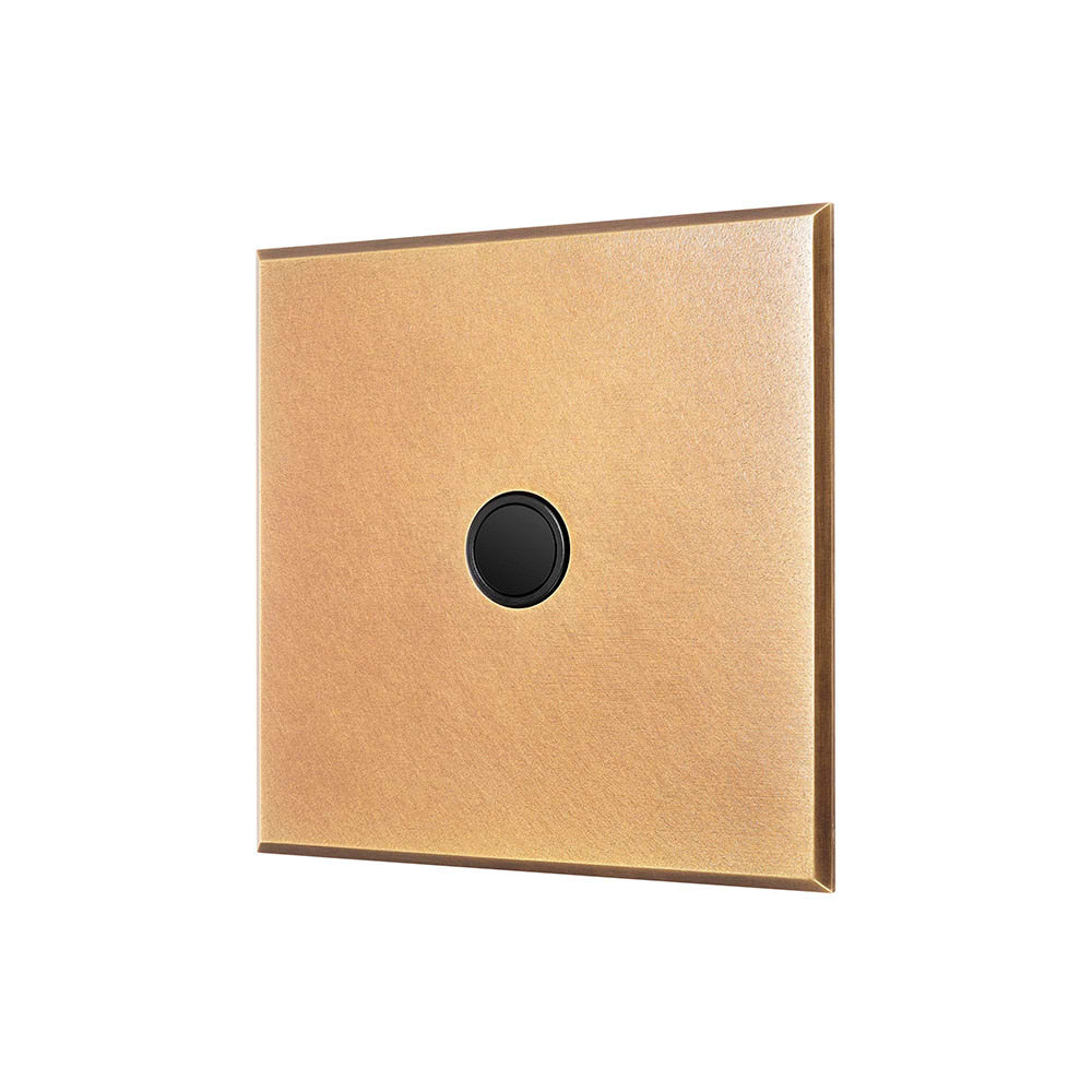 Natural Brass 20A Flex Outlet with Black Insert  - The Palaces Collection