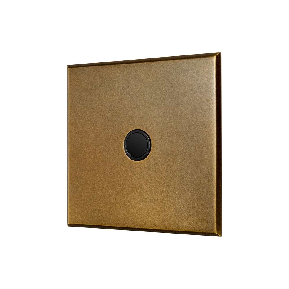 Aged Brass 20A Flex Outlet with Black Insert  - The Palaces Collection