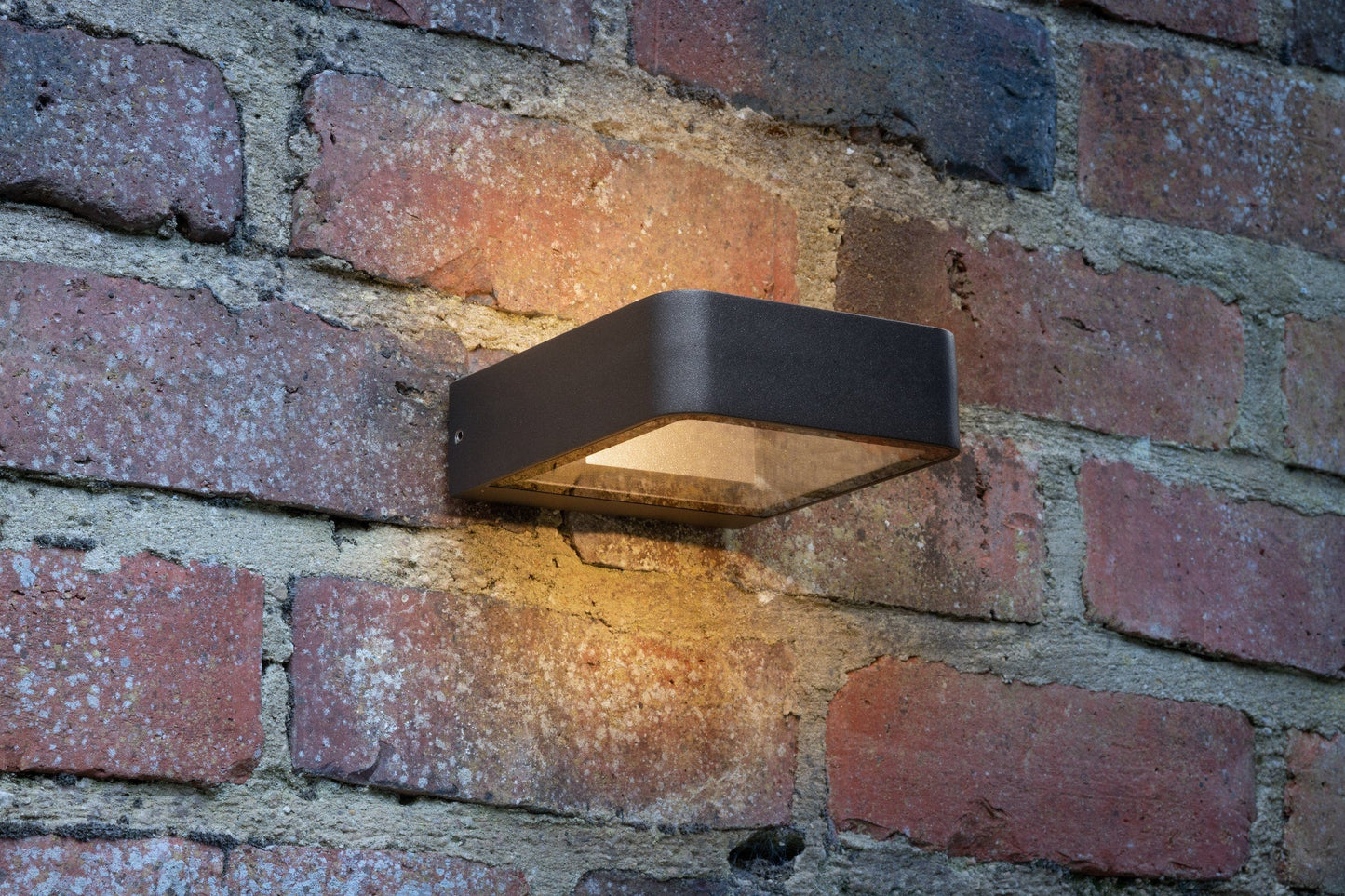 dar lighting Malone Square Outdoor Wall Light Matt Grey Glass IP65 LED MAL3239