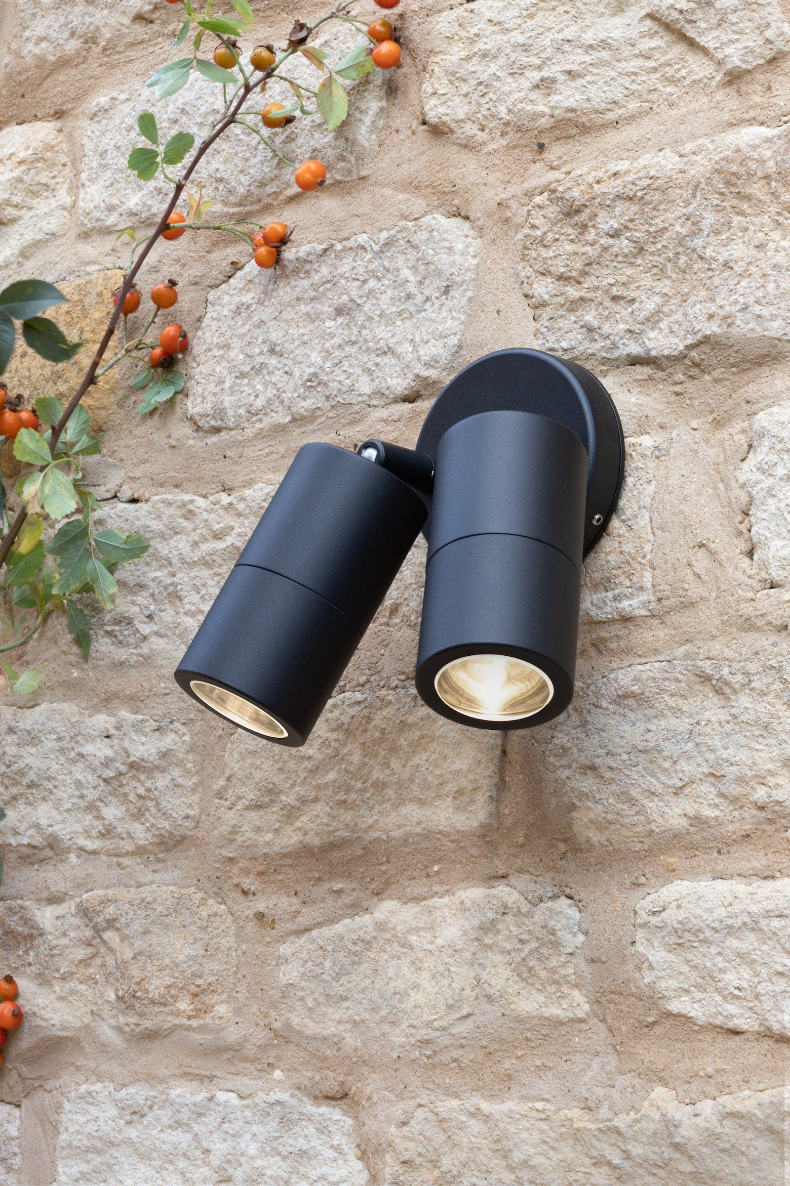 dar lighting Ortega Outdoor 2 Light Wall Spotlight Matt Black IP65 ORT0922