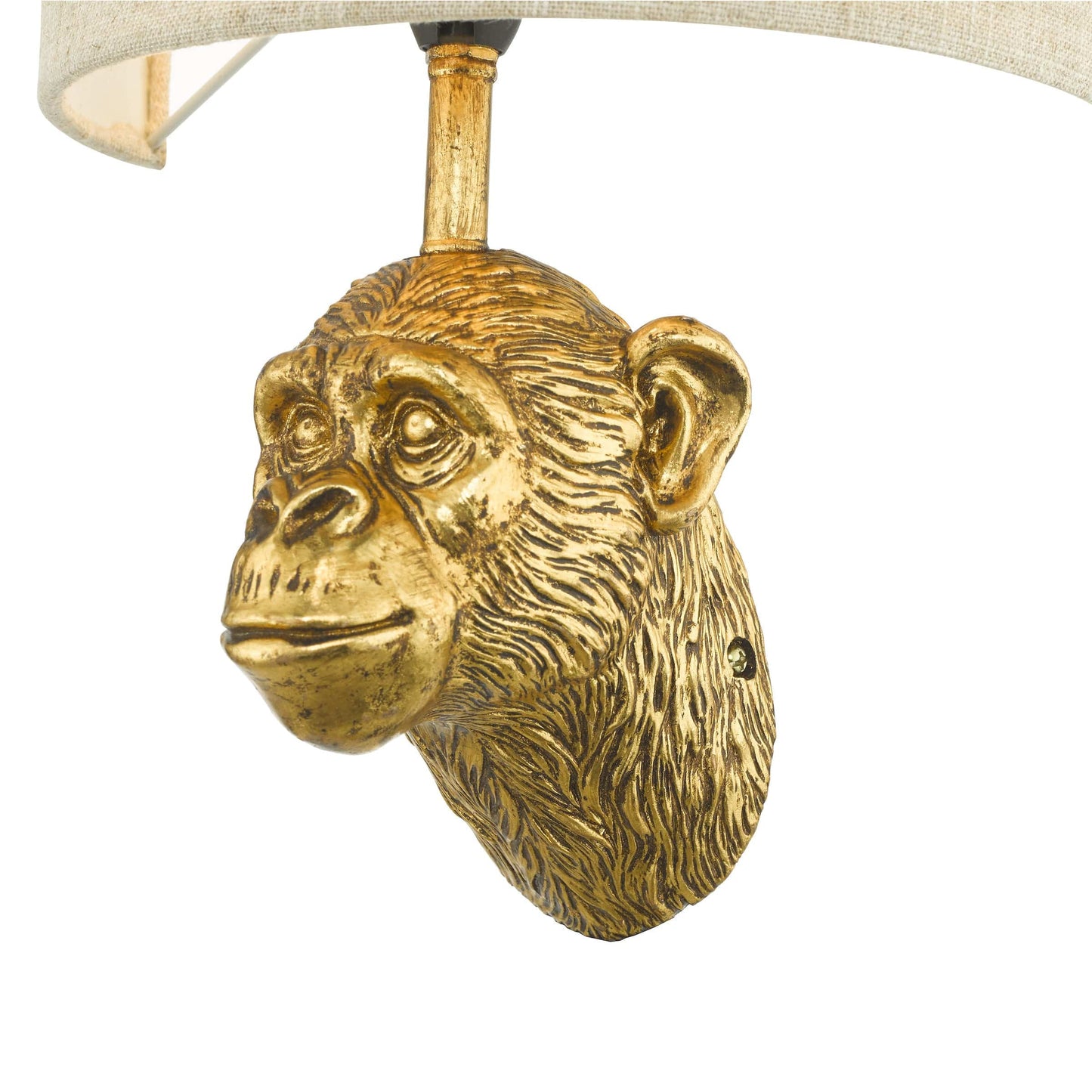 dar lighting Raul Monkey Wall Light Gold With Shade RAU0735