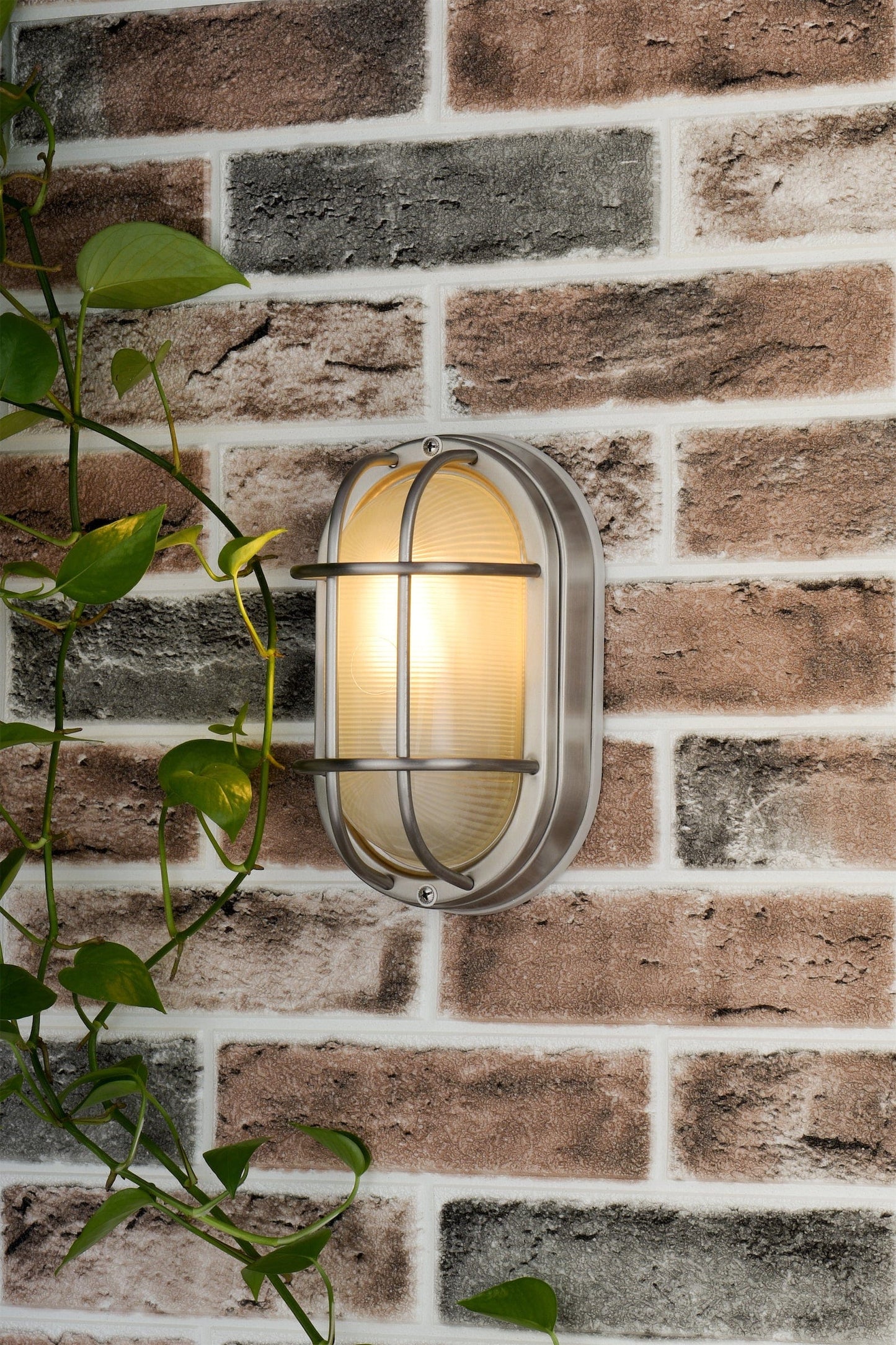 dar lighting Salcombe Oval Outdoor Wall Light Stainless Steel Glass IP44 SAL5244