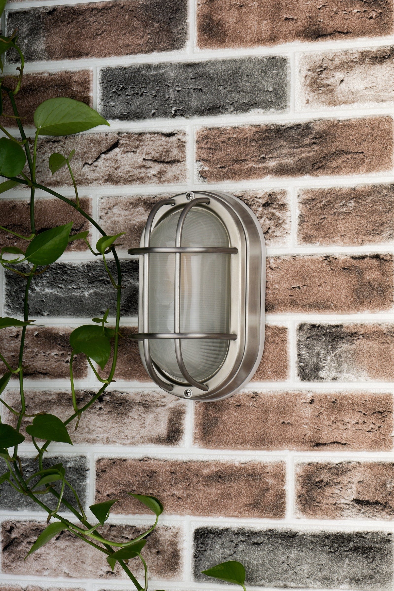 dar lighting Salcombe Oval Outdoor Wall Light Stainless Steel Glass IP44 SAL5244