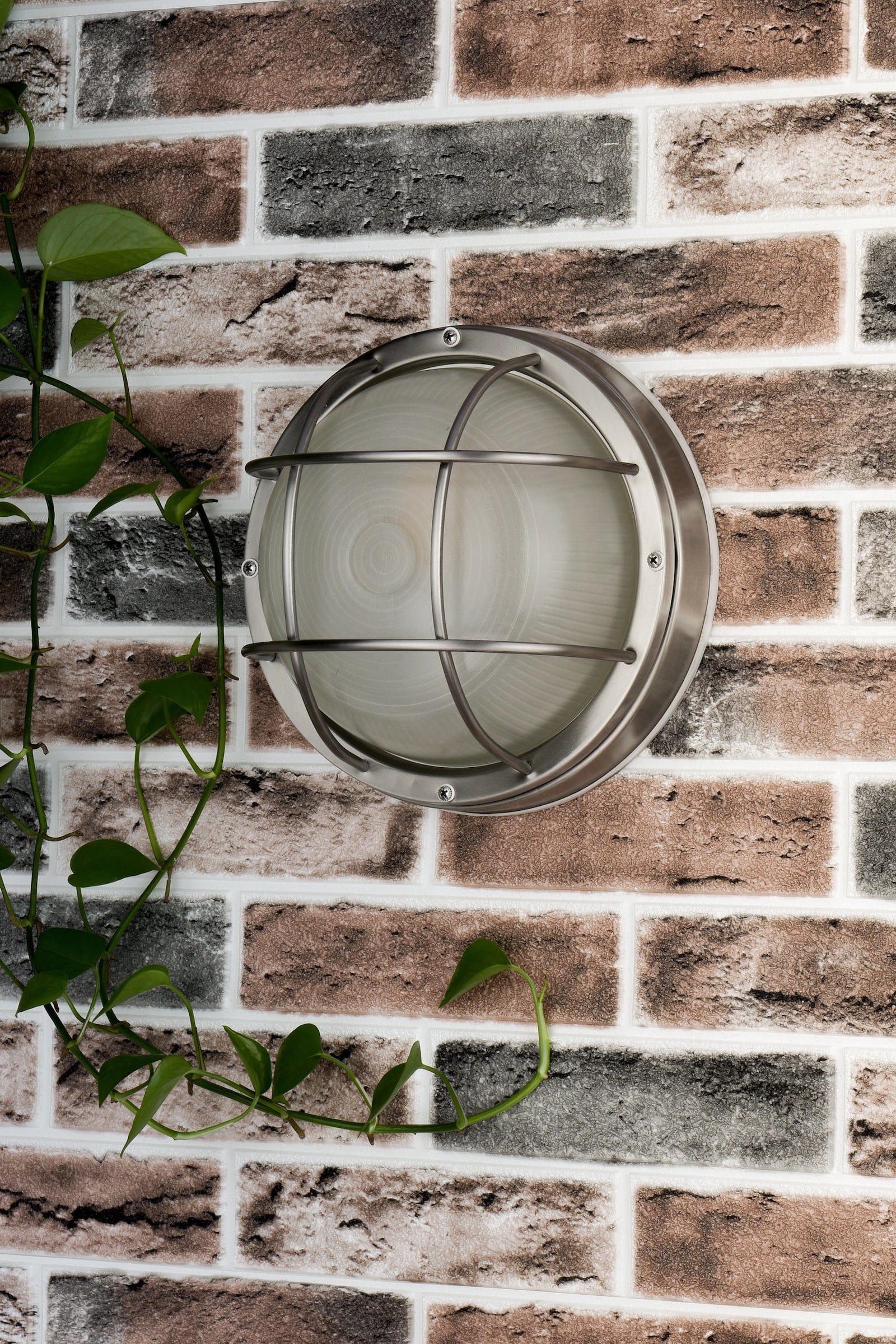 dar lighting Salcombe Round Outdoor Wall Light Stainless Steel Glass IP44 SAL5044