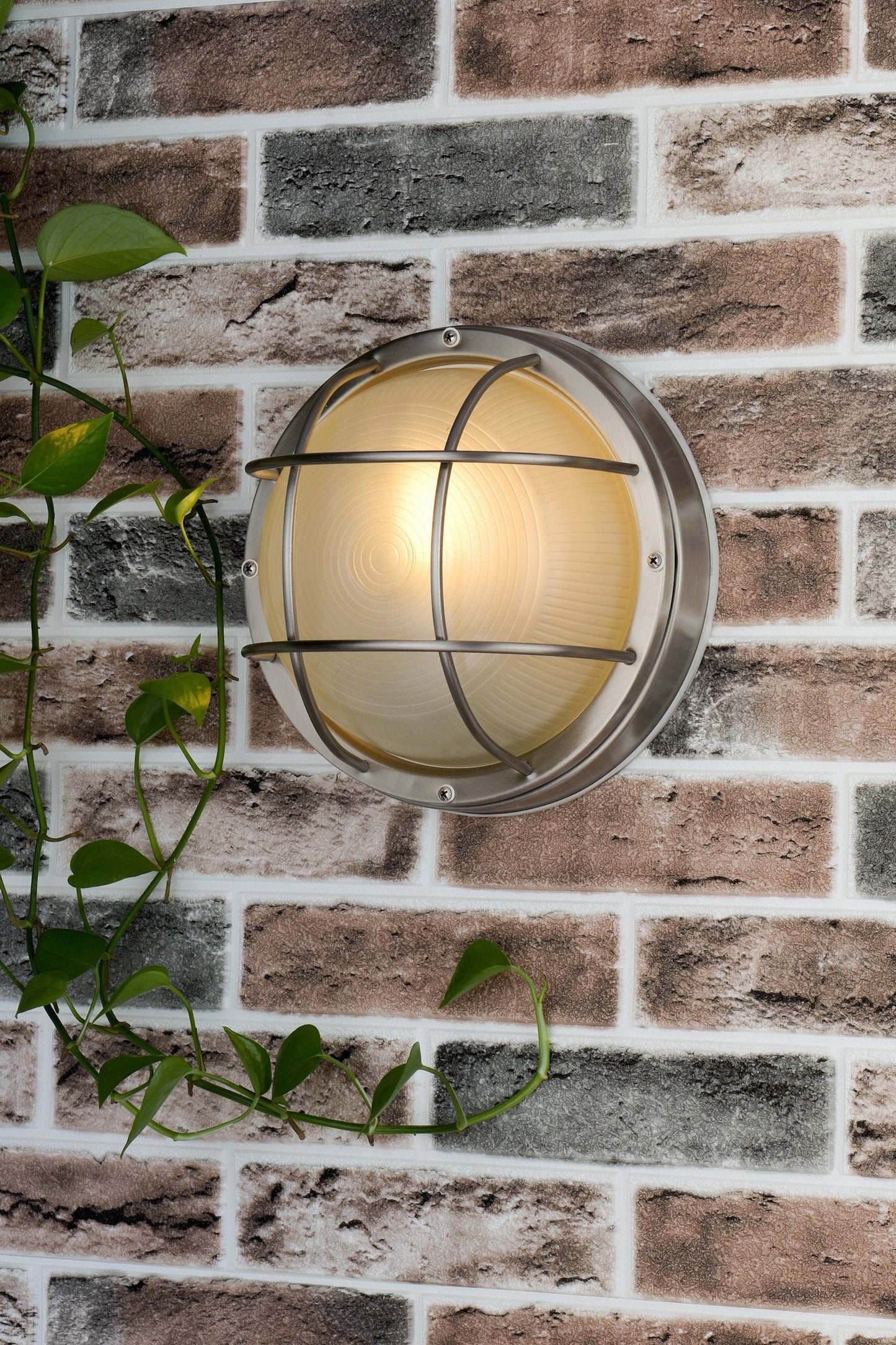 dar lighting Salcombe Round Outdoor Wall Light Stainless Steel Glass IP44 SAL5044