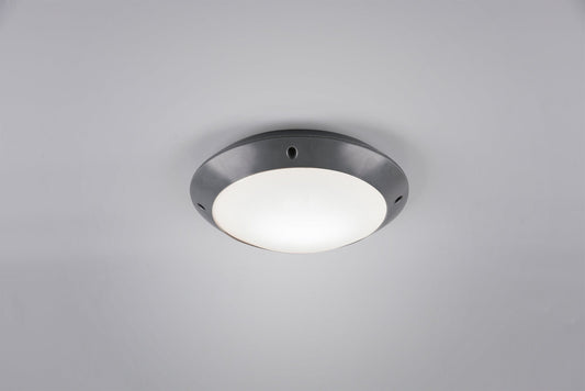 REALITY CAMARO Ceiling lamp (A) - Anthracite R60501042