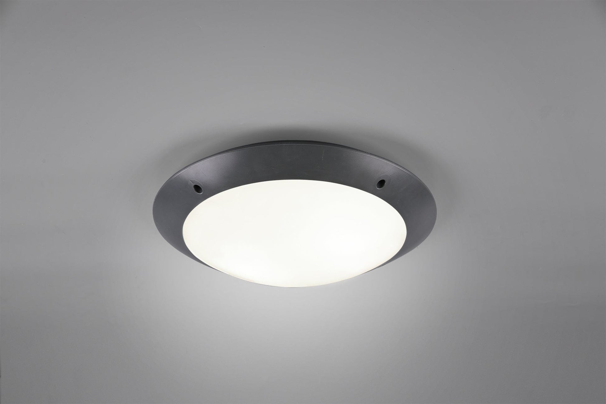 REALITY CAMARO Ceiling lamp (B) - Anthracite R60502042