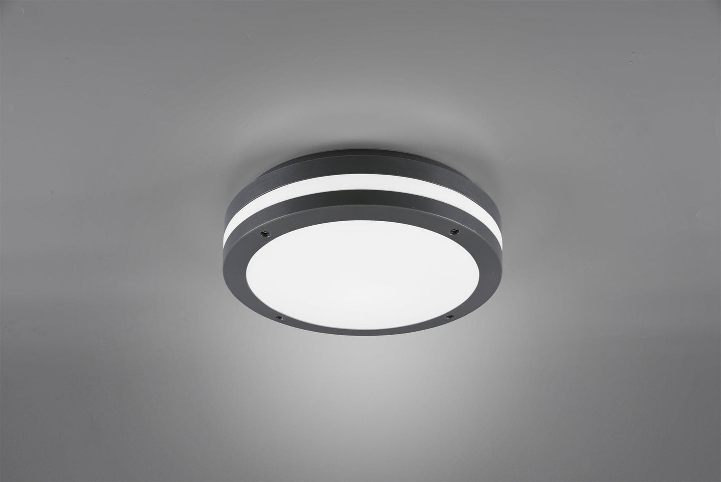 REALITY KENDAL Ceiling lamp - Anthracite R62151142